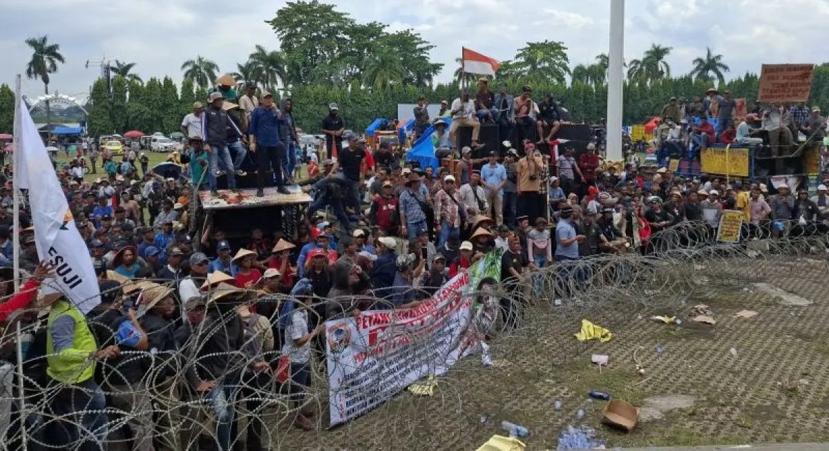 DPRD Lampung Tegaskan Harga Ubi Kayu Rp1.400 per Kg Berlaku Besok